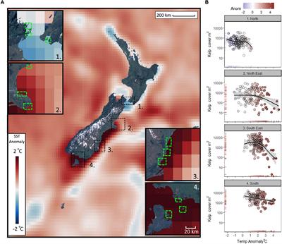 Loss of Giant Kelp, Macrocystis pyrifera, Driven by Marine Heatwaves and Exacerbated by Poor Water Clarity in New Zealand